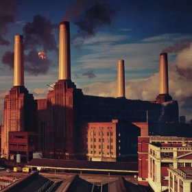 Animals - Pink Floyd - 1977