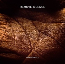 Reprodução da capa do EP "Irreversible", do Remove Silence