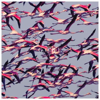 Reprodução da capa de "Gore", do Deftones