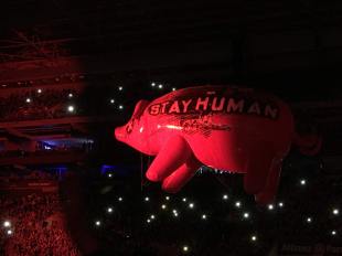 Roger Waters em SP - Foto: Flavia Alemi Roger Waters em SP - Foto: Flavia Alemi